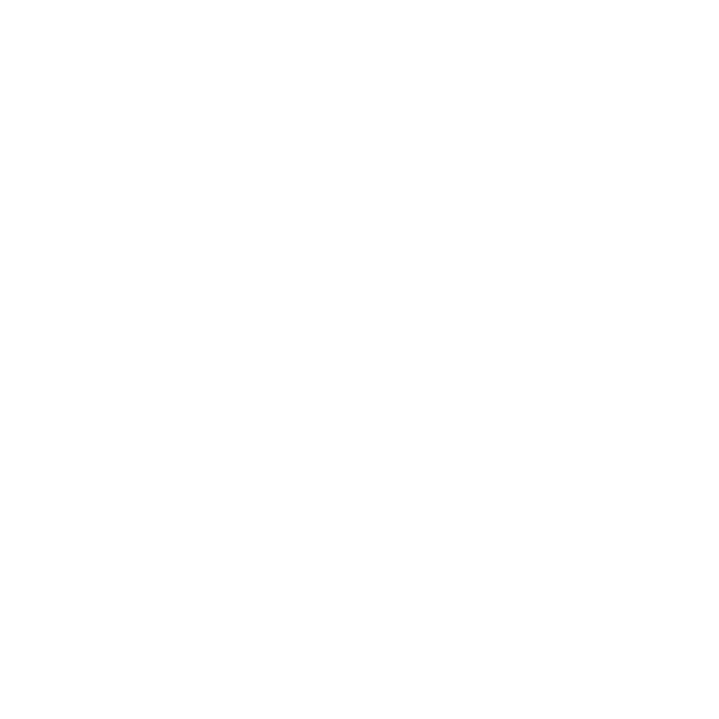 vly.ai logo